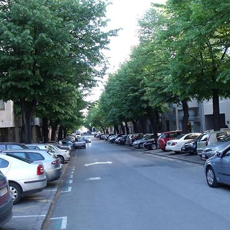 Botanical Garden Apartments Belgrad Exterior foto